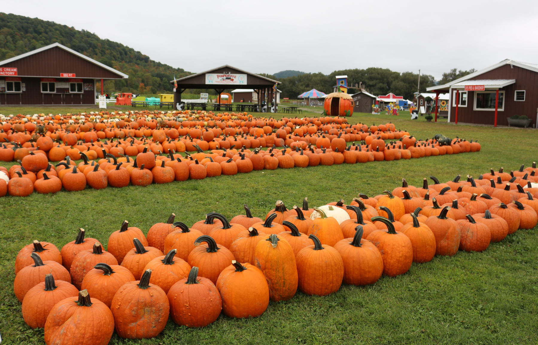 Pumpkinville opens for 51st season on Saturday